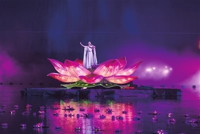宁波植物园璀璨“亮灯” 光影秀持续到8月10日 